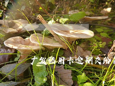 广发信用卡逾期交给第三方催 广发信用卡逾期交给第三方催
