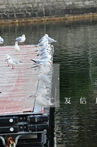 广发信用卡逾期产生利息怎么办