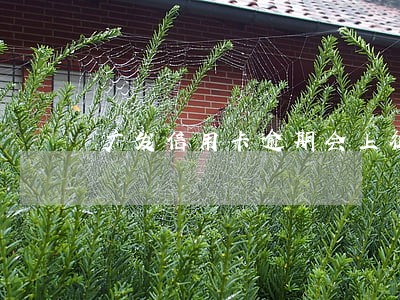 广发信用卡逾期会上征信嘛