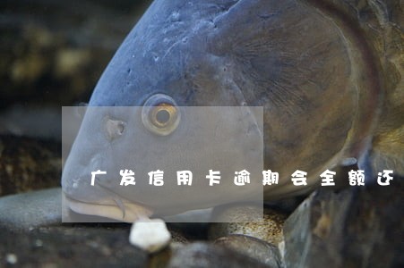 广发信用卡逾期会全额还款吗