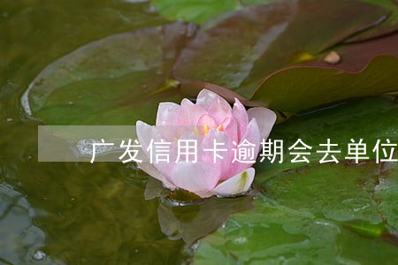 广发信用卡逾期会去单位吗