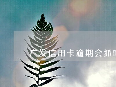 广发信用卡逾期会抓吗