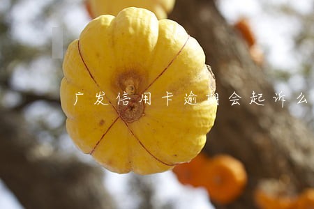 广发信用卡逾期会起诉么 广发信用卡逾期会起诉么