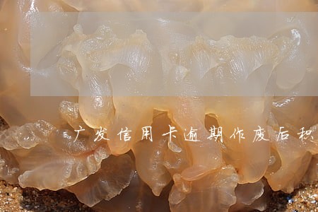 广发信用卡逾期作废后积分 广发信用卡逾期作废后积分