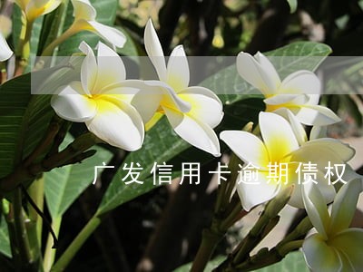 广发信用卡逾期债权