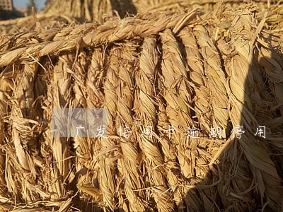 广发信用卡逾期停用 广发信用卡逾期停用