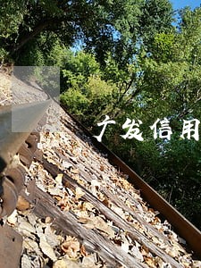 广发信用卡逾期停用怎么恢复