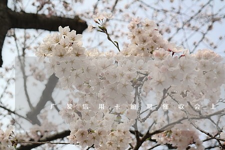 广发信用卡逾期催收会上门吗 广发信用卡逾期催收会上门吗