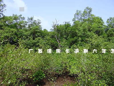 广发信用卡逾期六年怎么办