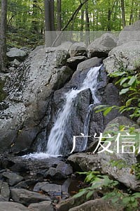 广发信用卡逾期冻结吗 广发信用卡逾期冻结吗