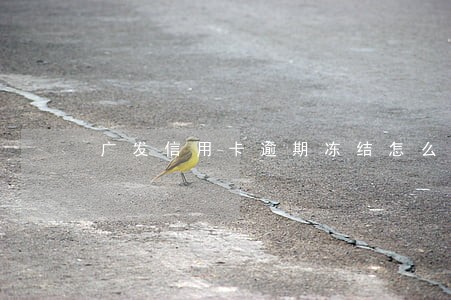 广发信用卡逾期冻结怎么解 广发信用卡逾期冻结怎么解