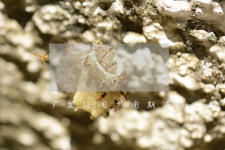 广发信用卡逾期减免一次性还清