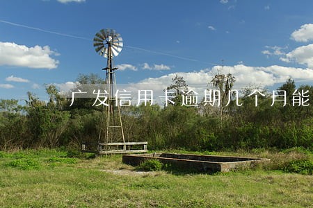 广发信用卡逾期几个月能解冻 广发信用卡逾期几个月能解冻
