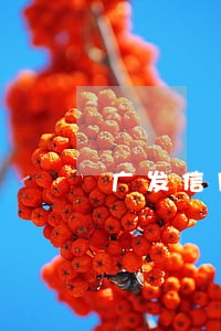 广发信用卡逾期几十块 广发信用卡逾期几十块