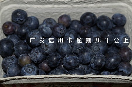 广发信用卡逾期几千会上门吗 广发信用卡逾期几千会上门吗