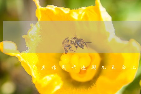 广发信用卡逾期几天后上征信 广发信用卡逾期几天后上征信