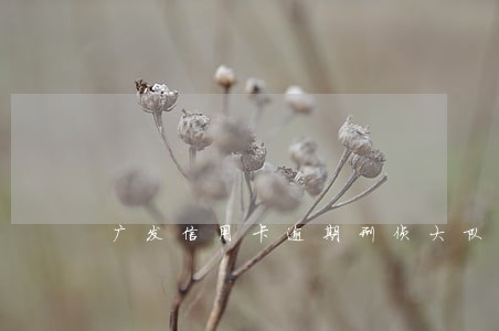 广发信用卡逾期刑侦大队 广发信用卡逾期刑侦大队