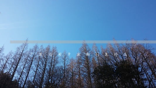广发信用卡逾期利息好高 广发信用卡逾期利息好高