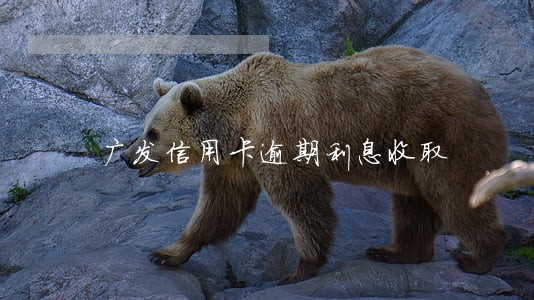 广发信用卡逾期利息收取 广发信用卡逾期利息收取
