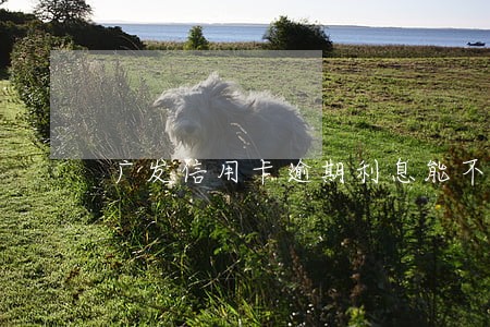 广发信用卡逾期利息能不能减免