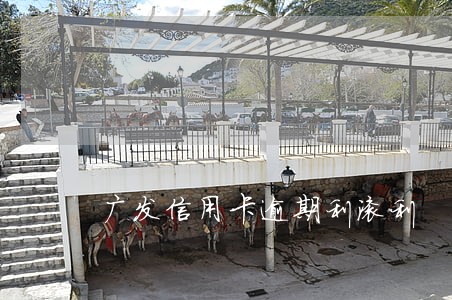 广发信用卡逾期利滚利