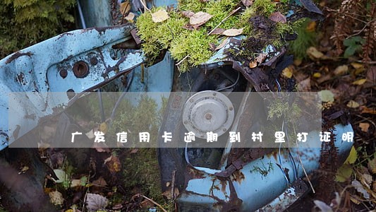 广发信用卡逾期到村里打证明 广发信用卡逾期到村里打证明