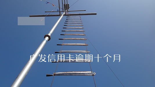 广发信用卡逾期十个月 广发信用卡逾期十个月