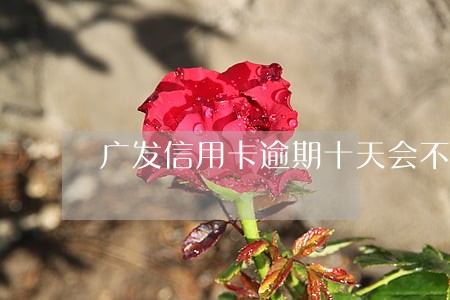 广发信用卡逾期十天会不会被降额 广发信用卡逾期十天会不会被降额