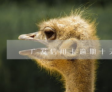 广发信用卡逾期十天会封卡吗 广发信用卡逾期十天会封卡吗