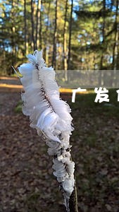 广发信用卡逾期十天利息多少 广发信用卡逾期十天利息多少