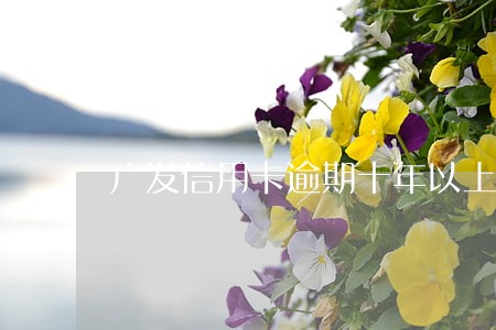 广发信用卡逾期十年以上
