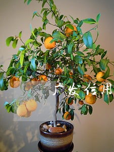 广发信用卡逾期半年6 广发信用卡逾期半年6
