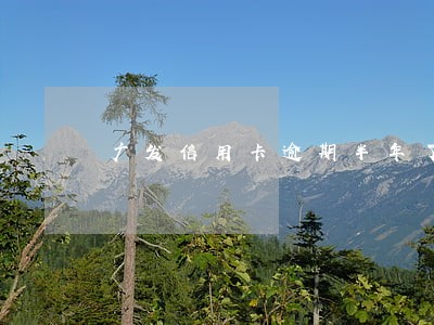 广发信用卡逾期半年了怎么办 广发信用卡逾期半年了怎么办