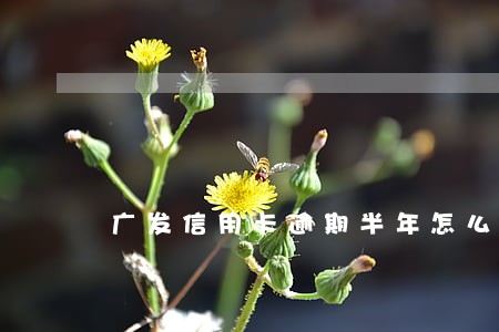 广发信用卡逾期半年怎么处理 广发信用卡逾期半年怎么处理