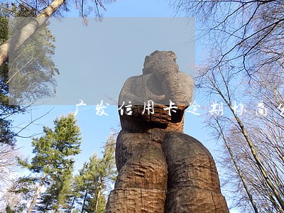 广发信用卡逾期协商分期不通过 广发信用卡逾期协商分期不通过