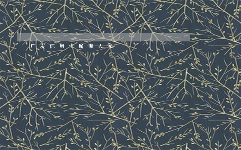 广发信用卡逾期去家 广发信用卡逾期去家