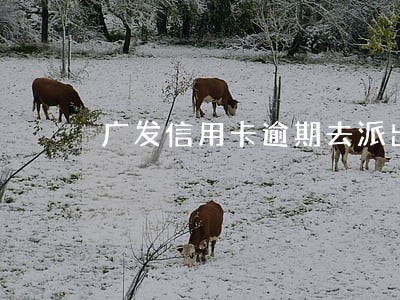 广发信用卡逾期去派出所报案