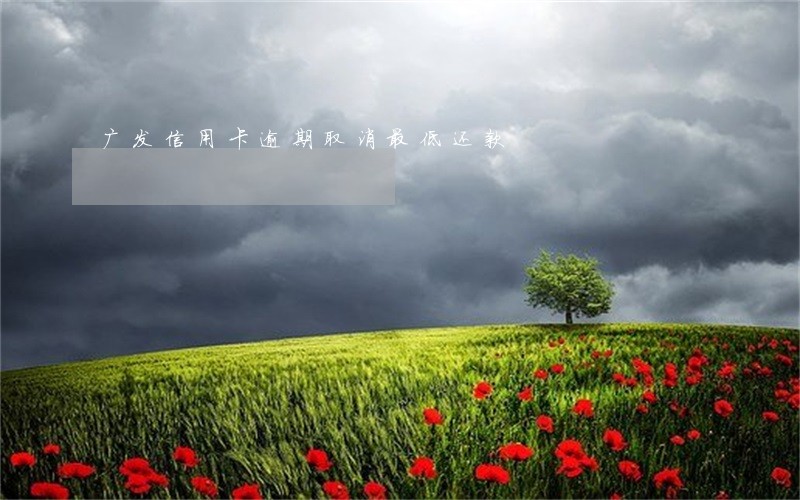 广发信用卡逾期取消最低还款