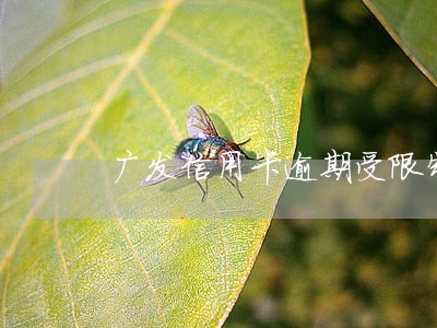 广发信用卡逾期受限制怎么办 广发信用卡逾期受限制怎么办