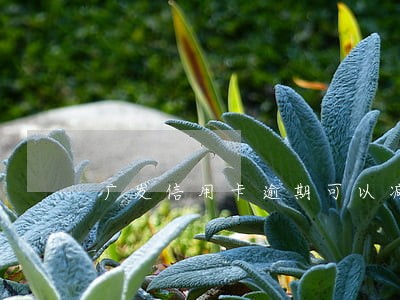 广发信用卡逾期可以减免还款吗 广发信用卡逾期可以减免还款吗