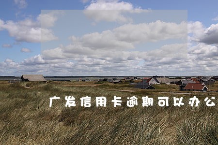广发信用卡逾期可以办公务卡吗 广发信用卡逾期可以办公务卡吗