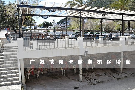 广发信用卡逾期可以协商多少期 广发信用卡逾期可以协商多少期