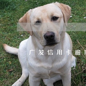 广发信用卡逾期可以慢慢还吗 广发信用卡逾期可以慢慢还吗