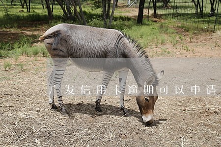 广发信用卡逾期可以申请分期吗 广发信用卡逾期可以申请分期吗