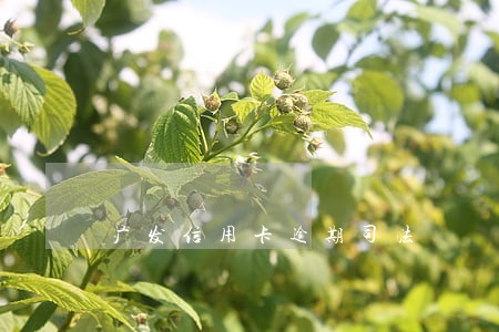 广发信用卡逾期司法 广发信用卡逾期司法