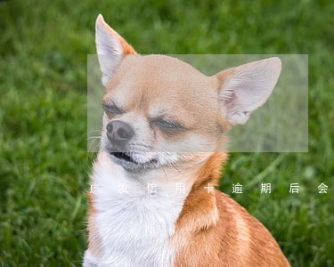 广发信用卡逾期后会发催告函吗