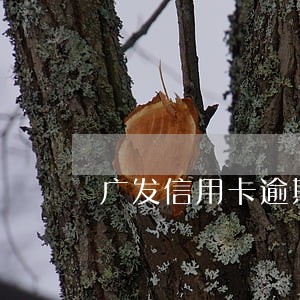 广发信用卡逾期后全额还款会降额 广发信用卡逾期后全额还款会降额