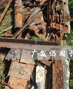 广发信用卡逾期后卡被销了 广发信用卡逾期后卡被销了