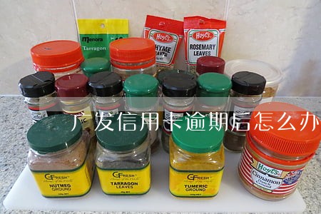 广发信用卡逾期后怎么办 广发信用卡逾期后怎么办