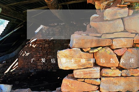 广发信用卡逾期后怎么还款吗 广发信用卡逾期后怎么还款吗